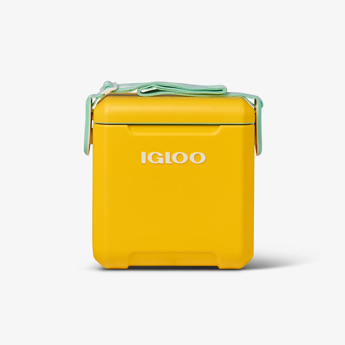 tag-along-too-cooler-a0 00032819_1.jpg