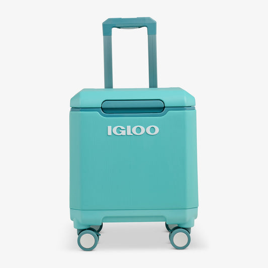 tag-along-too-spinner-cooler-r6 00033184-F1_b51e854c-365a-4272-b384-7c3dd41ac0b8.jpg