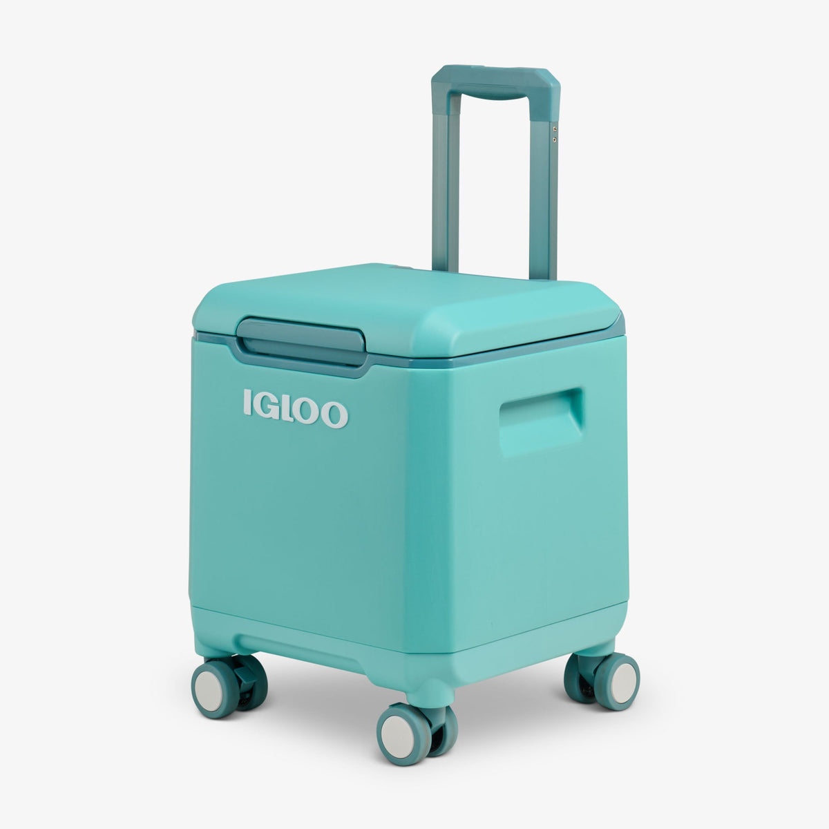 tag-along-too-spinner-cooler-r6 00033184-H3_fdf80c81-356d-4155-97e7-611821b8cef5.jpg